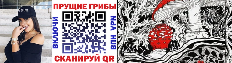 как найти закладки  Туринск  Галлюциногенные грибы Psilocybine cubensis 